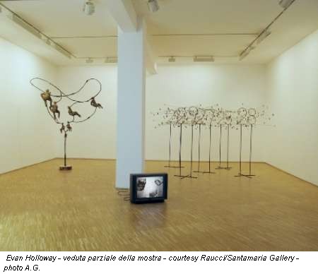 Evan Holloway - veduta parziale della mostra - courtesy Raucci/Santamaria Gallery - photo A.G.