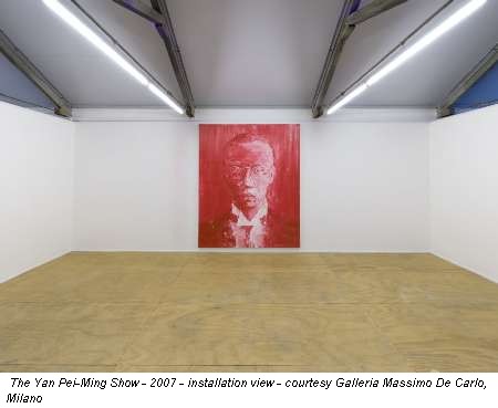 The Yan Pei-Ming Show - 2007 - installation view - courtesy Galleria Massimo De Carlo, Milano