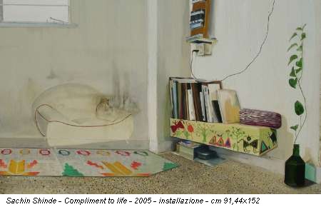 Sachin Shinde - Compliment to life - 2005 - installazione - cm 91,44x152