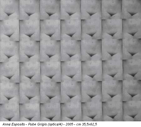 Anna Esposito - Pube Grigio (optical4) - 2005 - cm 35,5x62,5