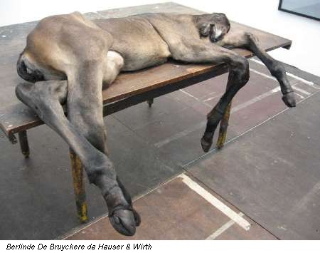 Berlinde De Bruyckere da Hauser & Wirth