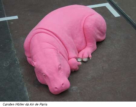 Carsten Hoeller da Air de Paris