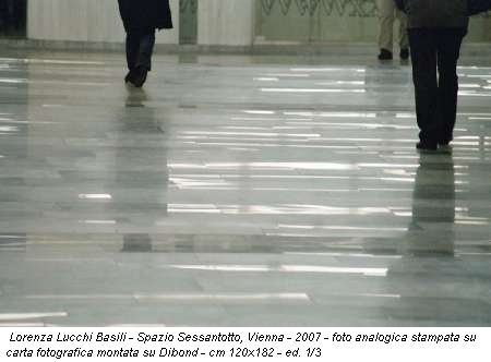 Lorenza Lucchi Basili - Spazio Sessantotto, Vienna - 2007 - foto analogica stampata su carta fotografica montata su Dibond - cm 120x182 - ed. 1/3