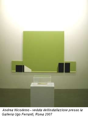 Andrea Nicodemo - veduta dellinstallazione presso la Galleria Ugo Ferranti, Roma 2007