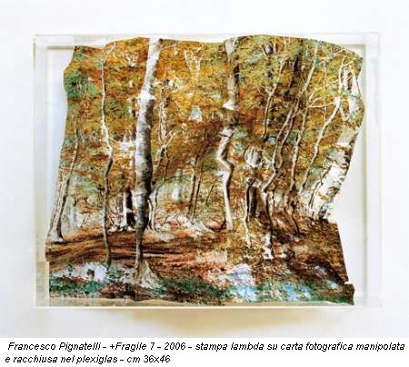 Francesco Pignatelli - +Fragile 7 - 2006 - stampa lambda su carta fotografica manipolata e racchiusa nel plexiglas - cm 36x46