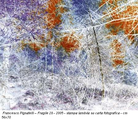 Francesco Pignatelli - Fragile 28 - 2005 - stampa lambda su carta fotografica - cm 56x70