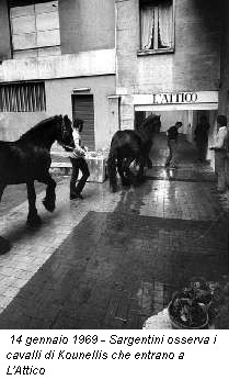 14 gennaio 1969 - Sargentini osserva i cavalli di Kounellis che entrano a L'Attico