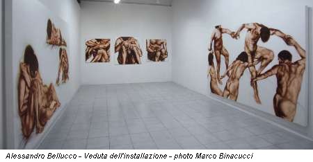 Alessandro Bellucco - Veduta dell'installazione - photo Marco Binacucci