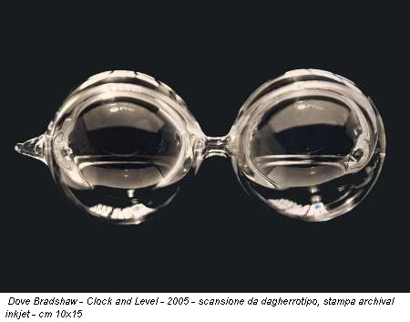 Dove Bradshaw - Clock and Level - 2005 - scansione da dagherrotipo, stampa archival inkjet - cm 10x15