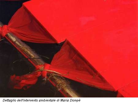 Dettaglio dell'intervento ambientale di Maria Dompè