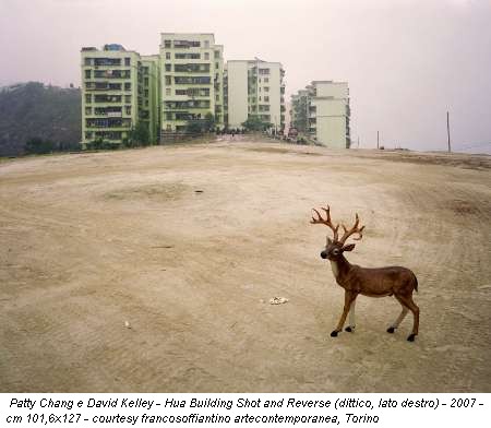 Patty Chang e David Kelley - Hua Building Shot and Reverse (dittico, lato destro) - 2007 - cm 101,6x127 - courtesy francosoffiantino artecontemporanea, Torino
