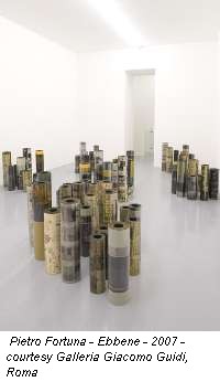 Pietro Fortuna - Ebbene - 2007 - courtesy Galleria Giacomo Guidi, Roma