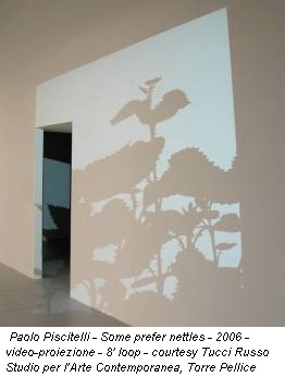 Paolo Piscitelli - Some prefer nettles - 2006 - video-proiezione - 8' loop - courtesy Tucci Russo Studio per l’Arte Contemporanea, Torre Pellice