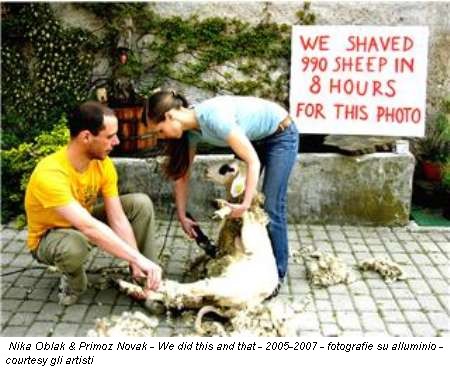 Nika Oblak & Primoz Novak - We did this and that - 2005-2007 - fotografie su alluminio - courtesy gli artisti