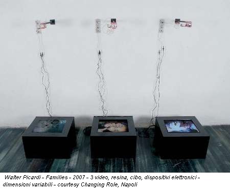 Walter Picardi - Families - 2007 - 3 video, resina, cibo, dispositivi elettronici - dimensioni variabili - courtesy Changing Role, Napoli