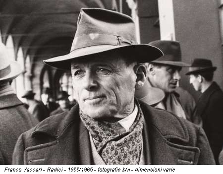 Franco Vaccari - Radici - 1955/1965 - fotografie b/n - dimensioni varie