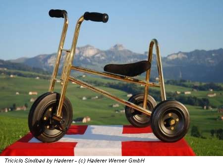 Triciclo Sindbad by Haderer - (c) Haderer Werner GmbH