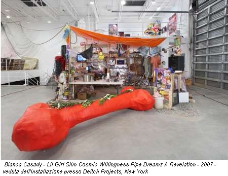 Bianca Casady - Lil Girl Slim Cosmic Willingness Pipe Dreamz A Revelation - 2007 - veduta dell'installazione presso Deitch Projects, New York