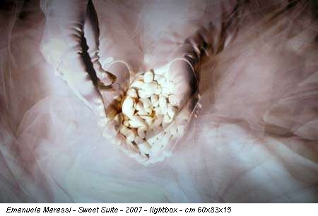 Emanuela Marassi - Sweet Suite - 2007 - lightbox - cm 60x83x15