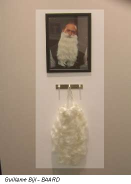 Guillame Bijl - BAARD