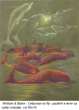 William & Blake - Cetacean on fly - pastelli e terre su carta colorata  cm 50x70