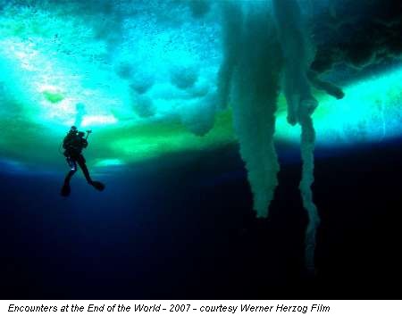 Encounters at the End of the World - 2007 - courtesy Werner Herzog Film