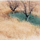 Fino al 31.III | No litografie Sì fotografie – mostra di Amanda George | Firenze, Galleria il Bisonte