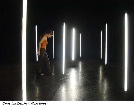 Christian Ziegler - Wald-forest