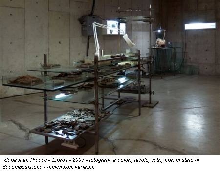 Sebastián Preece - Libros - 2007 - fotografie a colori, tavolo, vetri, libri in stato di decomposizione - dimensioni variabili