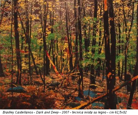 Bradley Castellanos - Dark and Deep - 2007 - tecnica mista su legno - cm 62,5x82