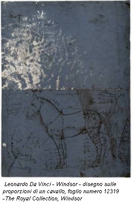 Leonardo Da Vinci - Windsor - disegno sulle proporzioni di un cavallo, foglio numero 12319 -The Royal Collection, Windsor