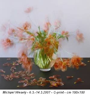 Michael Wesely - 6.3.-14.3.2007 - C-print - cm 180x180