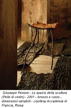 Giuseppe Penone - Lo spazio della scultura (Pelle di cedro) - 2001 - bronzo e cuoio - dimensioni variabili - courtesy Accademia di Francia, Roma
