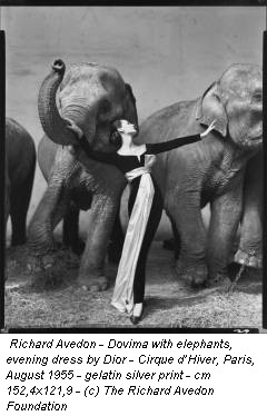 Richard Avedon - Dovima with elephants, evening dress by Dior - Cirque d’Hiver, Paris, August 1955 - gelatin silver print - cm 152,4x121,9 - (c) The Richard Avedon Foundation