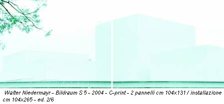 Walter Niedermayr - Bildraum S 5 - 2004 - C-print - 2 pannelli cm 104x131 / installazione cm 104x265 - ed. 2/6