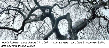 Maria Friberg - alongside us #1 - 2007 - c-print su vetro - cm 250x93 - courtesy Galica Arte Contemporanea, Milano