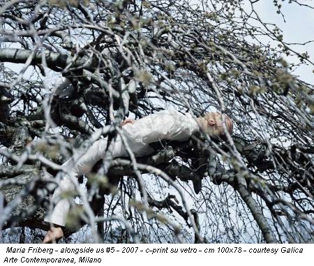 Maria Friberg - alongside us #5 - 2007 - c-print su vetro - cm 100x78 - courtesy Galica Arte Contemporanea, Milano