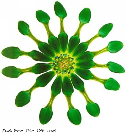 Renato Grome - Virtue - 2006 - c-print