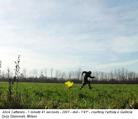Alice Cattaneo - 1 minute 41 seconds - 2007 - dvd - 1’41” - courtesy l’artista e Galleria Suzy Shammah, Milano