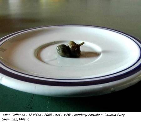 Alice Cattaneo - 13 video - 2005 - dvd - 4’25” - courtesy l’artista e Galleria Suzy Shammah, Milano