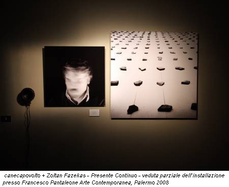 canecapovolto + Zoltan Fazekas - Presente Continuo - veduta parziale dell’installazione presso Francesco Pantaleone Arte Contemporanea, Palermo 2008