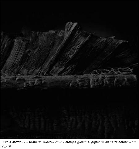 Paola Mattioli - Il frutto del fuoco - 2003 - stampa giclée ai pigmenti su carta cotone - cm 70x70