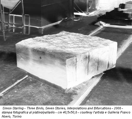 Simon Starling - Three Birds, Seven Stories, Interpolations and Bifurcations - 2008 - stampa fotografica al platino/palladio - cm 40,5x50,8 - courtesy l’artista e Galleria Franco Noero, Torino