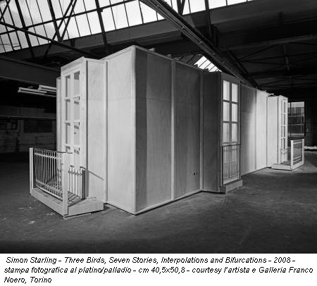 Simon Starling - Three Birds, Seven Stories, Interpolations and Bifurcations - 2008 - stampa fotografica al platino/palladio - cm 40,5x50,8 - courtesy l’artista e Galleria Franco Noero, Torino