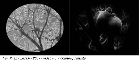 Kan Xuan - Lovely - 2007 - video - 8’ - courtesy l’artista