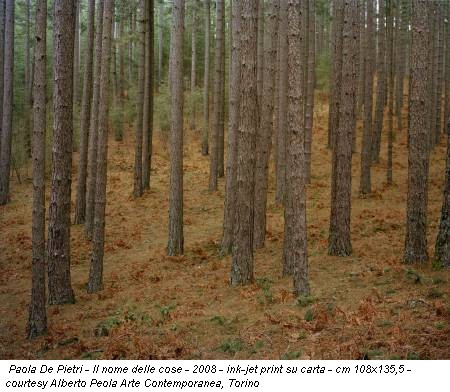 Paola De Pietri - Il nome delle cose - 2008 - ink-jet print su carta - cm 108x135,5 - courtesy Alberto Peola Arte Contemporanea, Torino