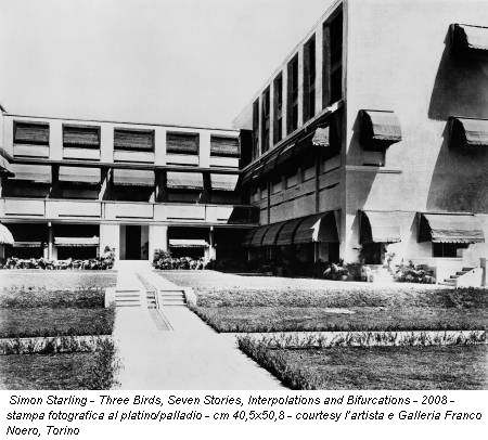 Simon Starling - Three Birds, Seven Stories, Interpolations and Bifurcations - 2008 - stampa fotografica al platino/palladio - cm 40,5x50,8 - courtesy l’artista e Galleria Franco Noero, Torino