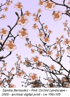 Sandra Bermudez - Pink Orchid Landscape - 2008 - archival digital print - cm 156x105