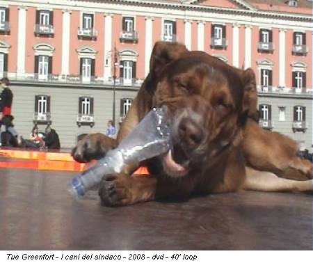 Tue Greenfort - I cani del sindaco - 2008 - dvd - 40' loop