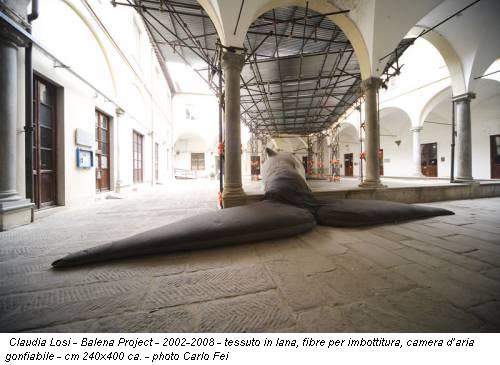 Claudia Losi - Balena Project - 2002-2008 - tessuto in lana, fibre per imbottitura, camera d’aria gonfiabile - cm 240x400 ca. - photo Carlo Fei